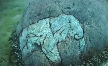 ミシガン湖からマストドンの彫刻が施された岩を発見